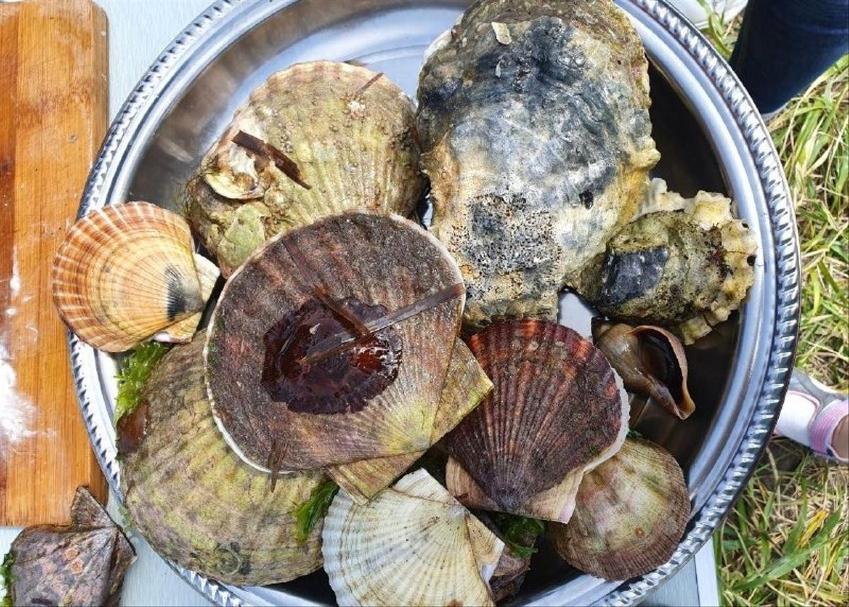 Морепродукты дальнего востока. Рыбный рынок южно-сахалинск. Гастротур сахалин. Сахалин устричный остров буссе. Гастротур сахалин.