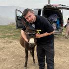 Photo Ибрагим
