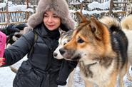 хаски в Карелии
