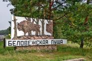 Беловежская пуща