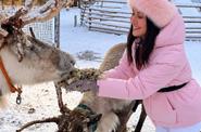 Саамская деревня на Кольском полуострове