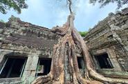 Храмовый комплекс Ангкор в Камбодже 
