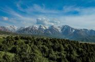 Зааминский заповедник