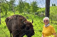 Зубровый питомник на Алтае