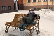 Йошкин кот