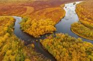 Река Жупанова на Камчатке