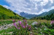 Кавказские горы