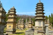 Лес пагод (Талинь) в монастыре Шаолить