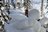 Тур на снегоступах в горах Алтая