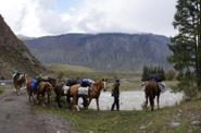 Конный тур на Алтай