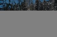 Снегоходный тур по Алтаю