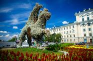 Казань