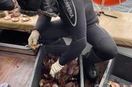 Морская прогулка по Баренцеву морю