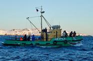 морская прогулка Териберка