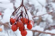 Тур по Псковской области