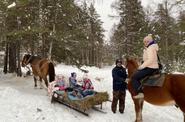 Конно-санная прогулка на озеро Галамит