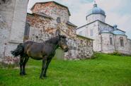 Онежский (Кийский) Крестный монастырь