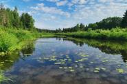 Река Медведица