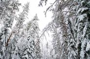 Водопад Кивач в Карелии зимой
