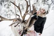 Северный олень