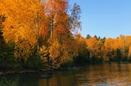 Карелия