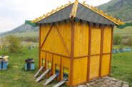 Алтайская пасека