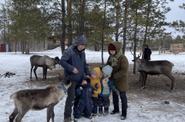 Северные олени Якутии