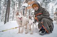 Хаски парк в Мурманской области