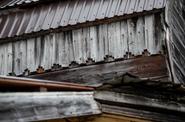 Тур по Архангельской области