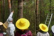 экскурсия на колодно-бортевую пасеку