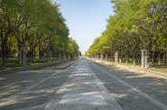 Линьинь в Ханчжоу