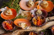 Арктические морепродукты
