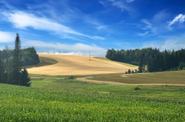 Село Старые Быги