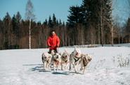 Поездка на собачьей упряжке