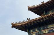Запретный город (Palace Museum) в Пекине