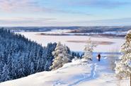 Зимний лес в Карелии