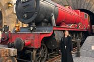 Парк Юниверсал (Universal Studios) в Пекине