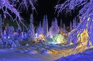 Таинственный лес в Кировске