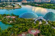 Сингапур, парк «Сады у залива»