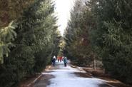 Тур в Киргизию