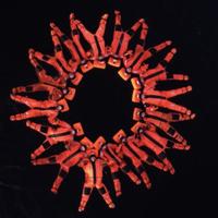 Айс-флоатинг в Кольском заливе