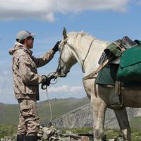 Конный тур к подножью Белухи