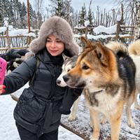 хаски в Карелии