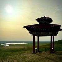 Территория Одинокого тополя, Калмыкия