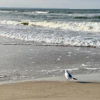 Балтийское море