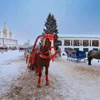 Тур на Масленицу