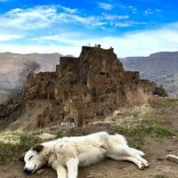 Аул-призрак Гамсутль