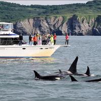 Морская прогулка в бухту Русская