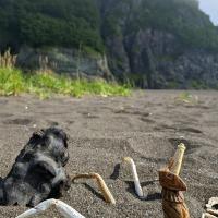 Жировая бухта на Тихом океане