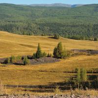 Пазырыкские курганы